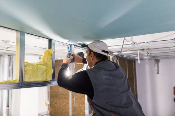 Best Eco-Friendly Insulation in El Paso, IL
