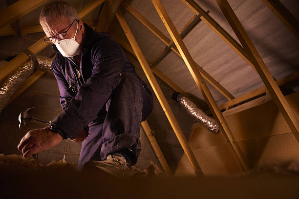 Best Energy Efficiency Insulation in El Paso, IL